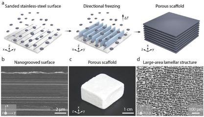 浙江大学柏浩ACS Nano:在纳米凹槽表面上量产高性能块状仿珍珠层材料!