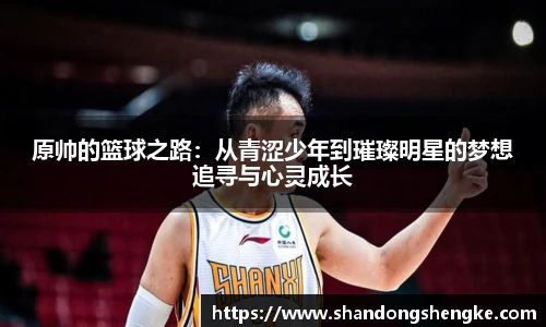 多宝官方网站